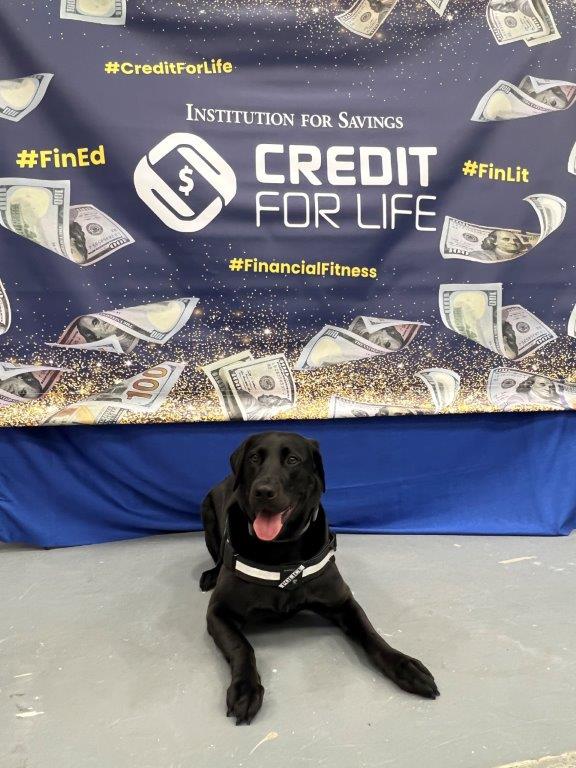 K9 at Credit for Life

